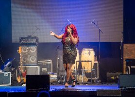 15-08-2015 Vechtdalfestival