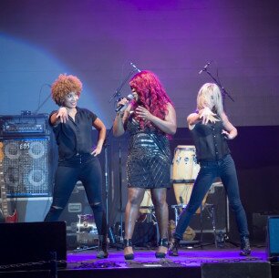 15-08-2015 Vechtdalfestival
